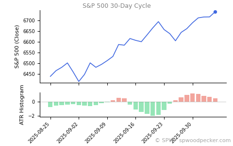 SPX 30-day cycle chart