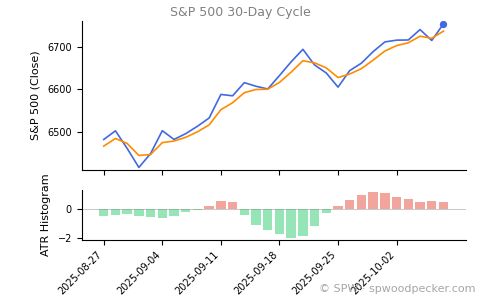 SPX 30-day cycle chart