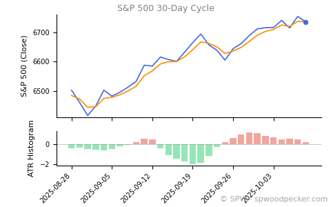 SPX 30-day cycle chart