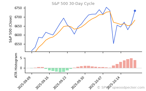 SPX 30-day cycle chart