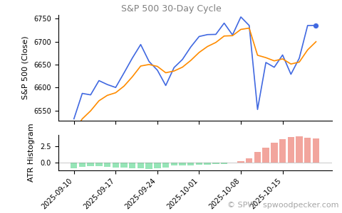 SPX 30-day cycle chart