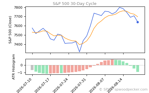 SPX Daily Cycle