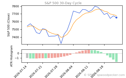 SPX Daily Cycle