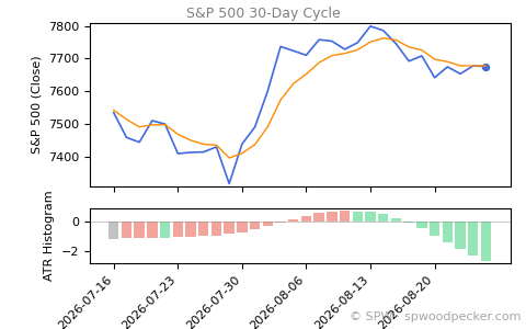SPX Daily Cycle