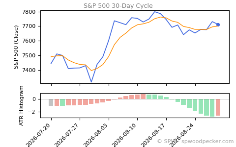 SPX Daily Cycle